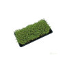 Garland Microgreens Tray 56x28x6 cm, podmiska černá hlubší s drenáží