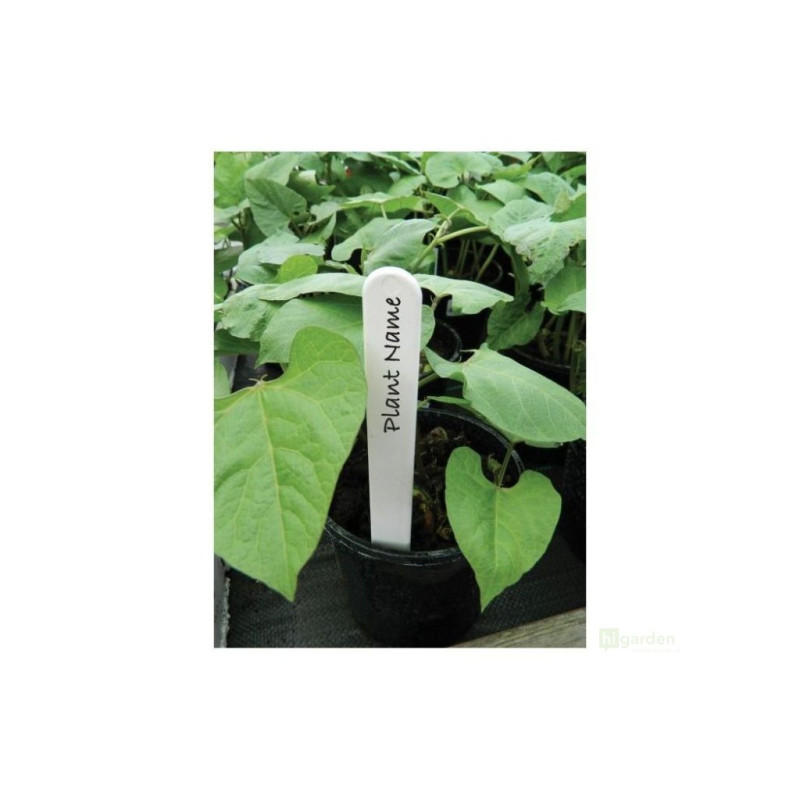 Plant Label, bílé popisovací štítky, 15cm, 25ks