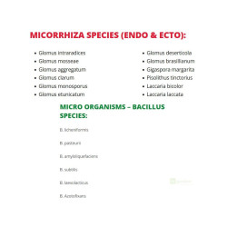 Bionova Living Soil, 220g