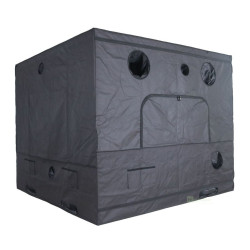 GorillaBox Tent Deluxe 240x240x200 cm