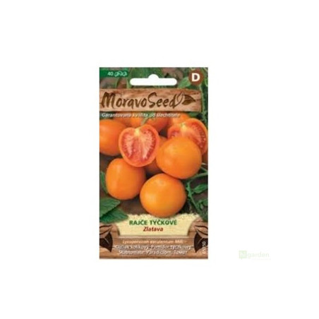 Semínka MoravoSeed Rajče tyčkové ZLATAVA, oranžové 65350