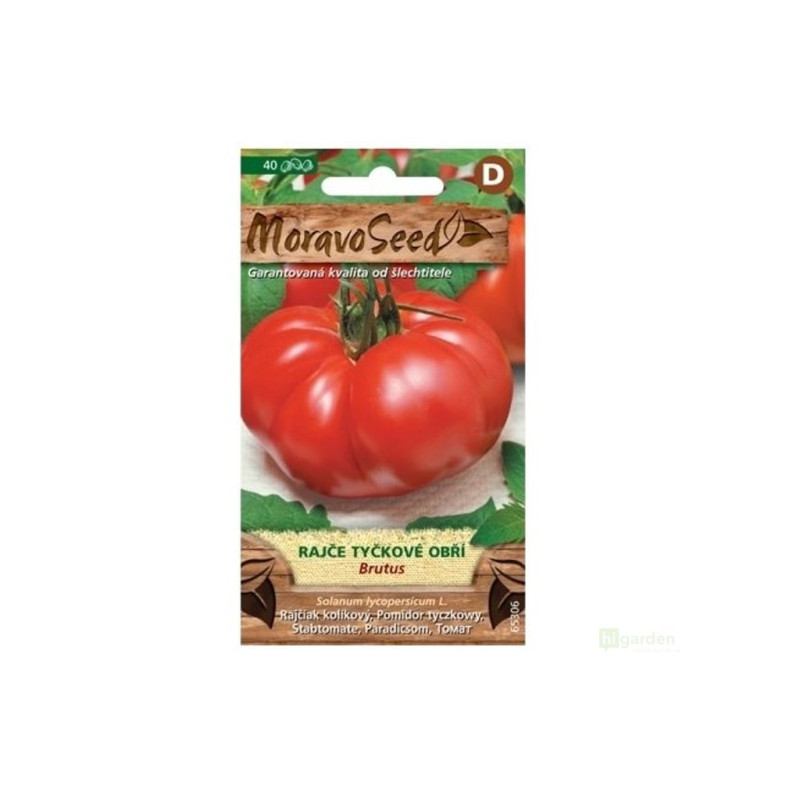 Semínka MoravoSeed Rajče tyčkové obří BRUTUS 65306