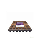 Plagron SeedBox