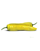 Chilli papričky
